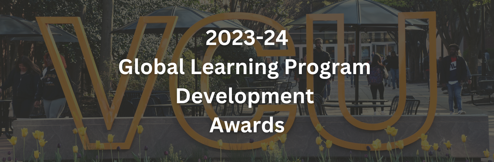 Global Learning Program Development Awards